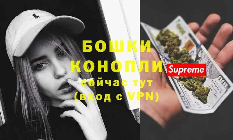 MEGA как войти  Удомля  Бошки Шишки THC 21% 